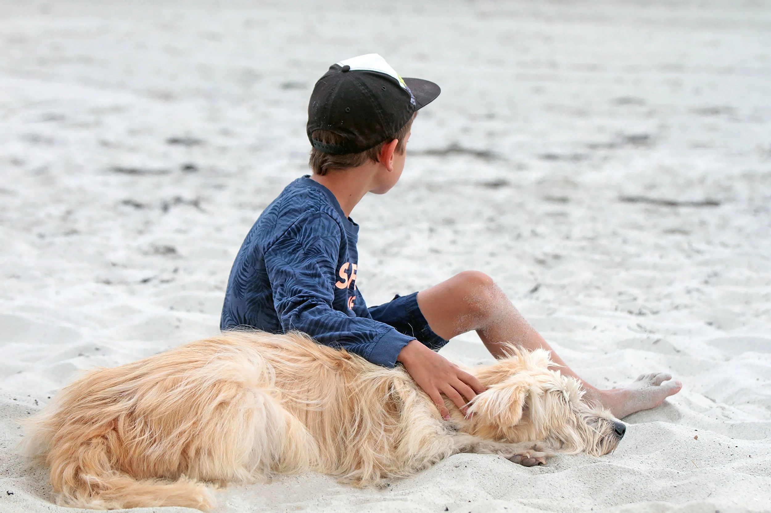 How to Keep Sand Out of Your Home: A Northern Beaches Guide