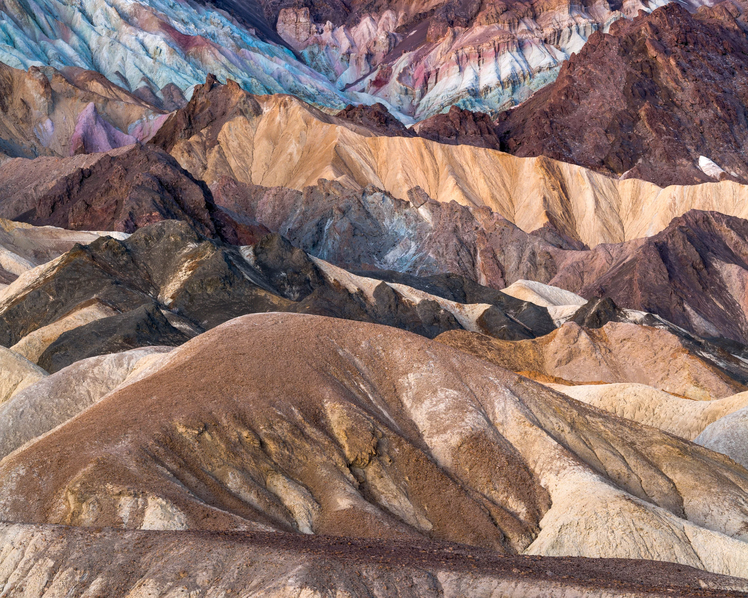 NSC_5212-Pano.jpg