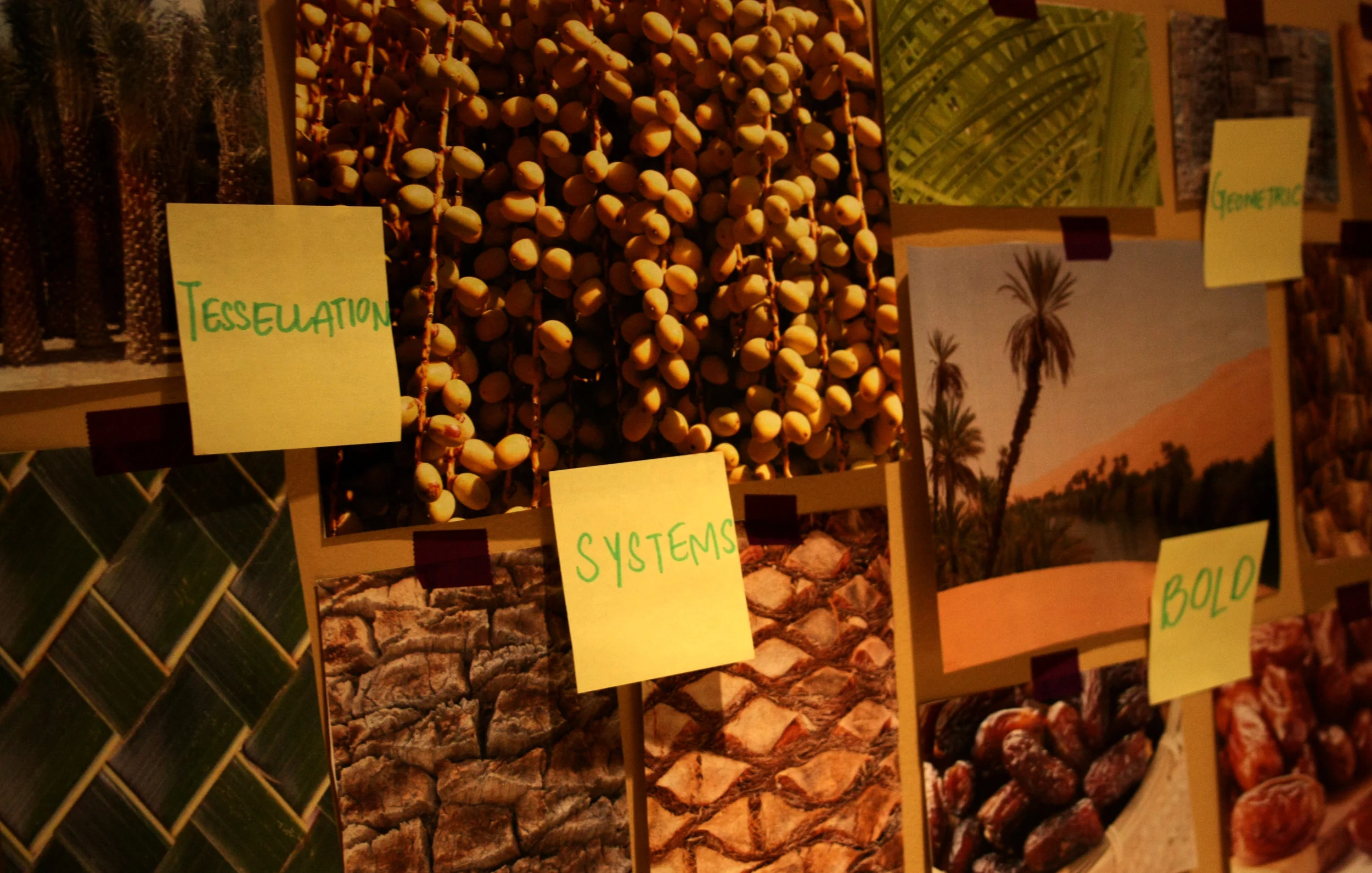  We chose the date palm as our brand symbol and drew inspiration from its resilience and bountiful produce. We took the rich, deep colours of dates and palm leaves, extracted shapes from the unique bark texture to craft a single, recognisable symbol 