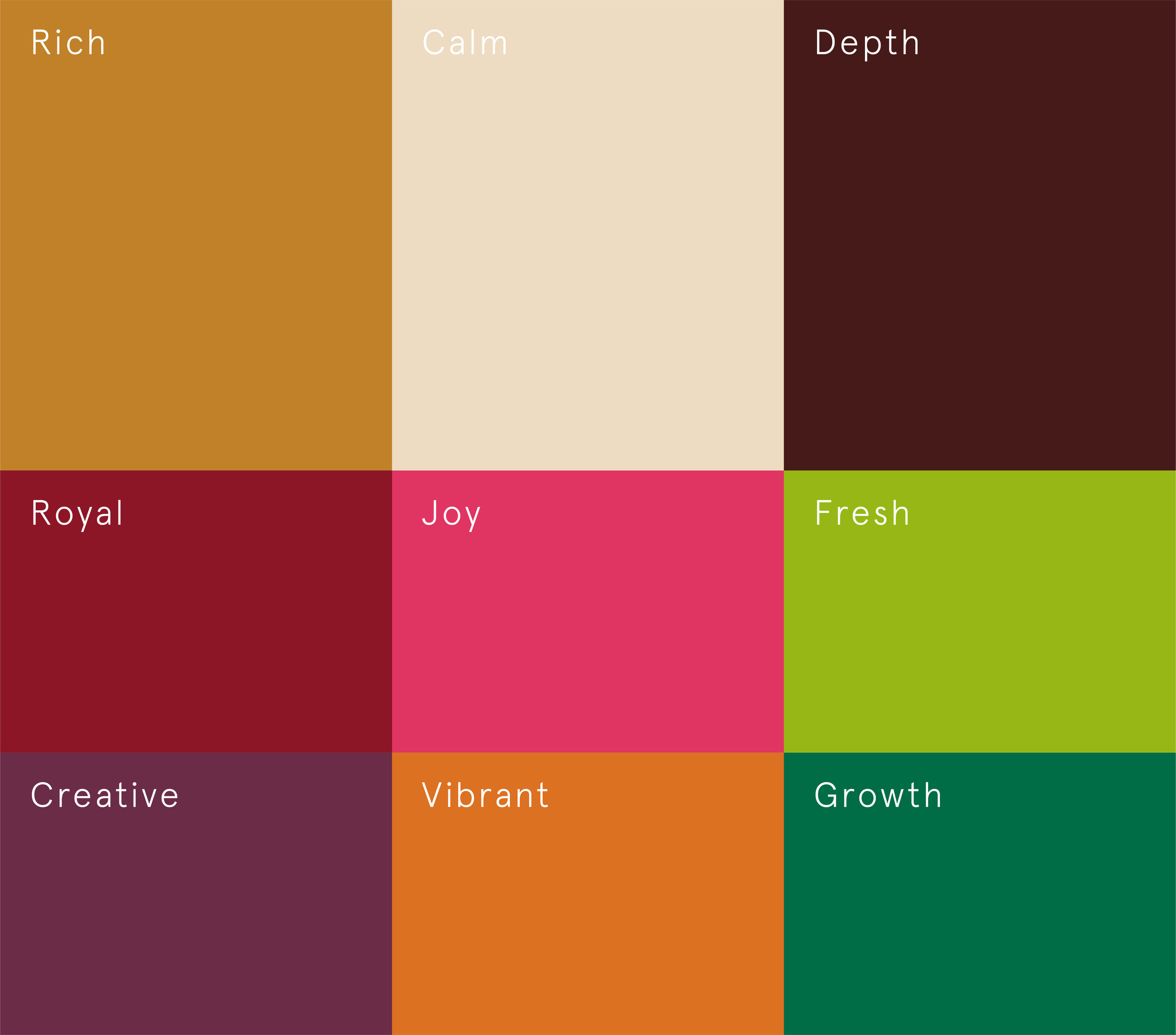 We used a vibrant mix of colors for packaging materials to make the products stand out.