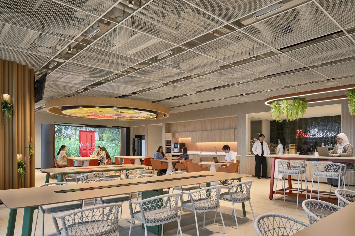 Prudential Labrador 12.jpg