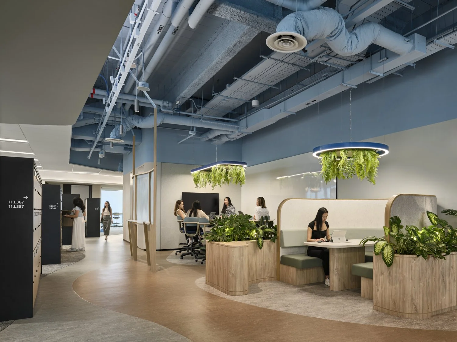 Prudential Labrador 24.jpg