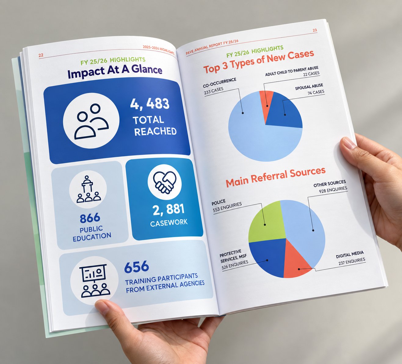 Report cases_Annual Report_PAVE.jpg