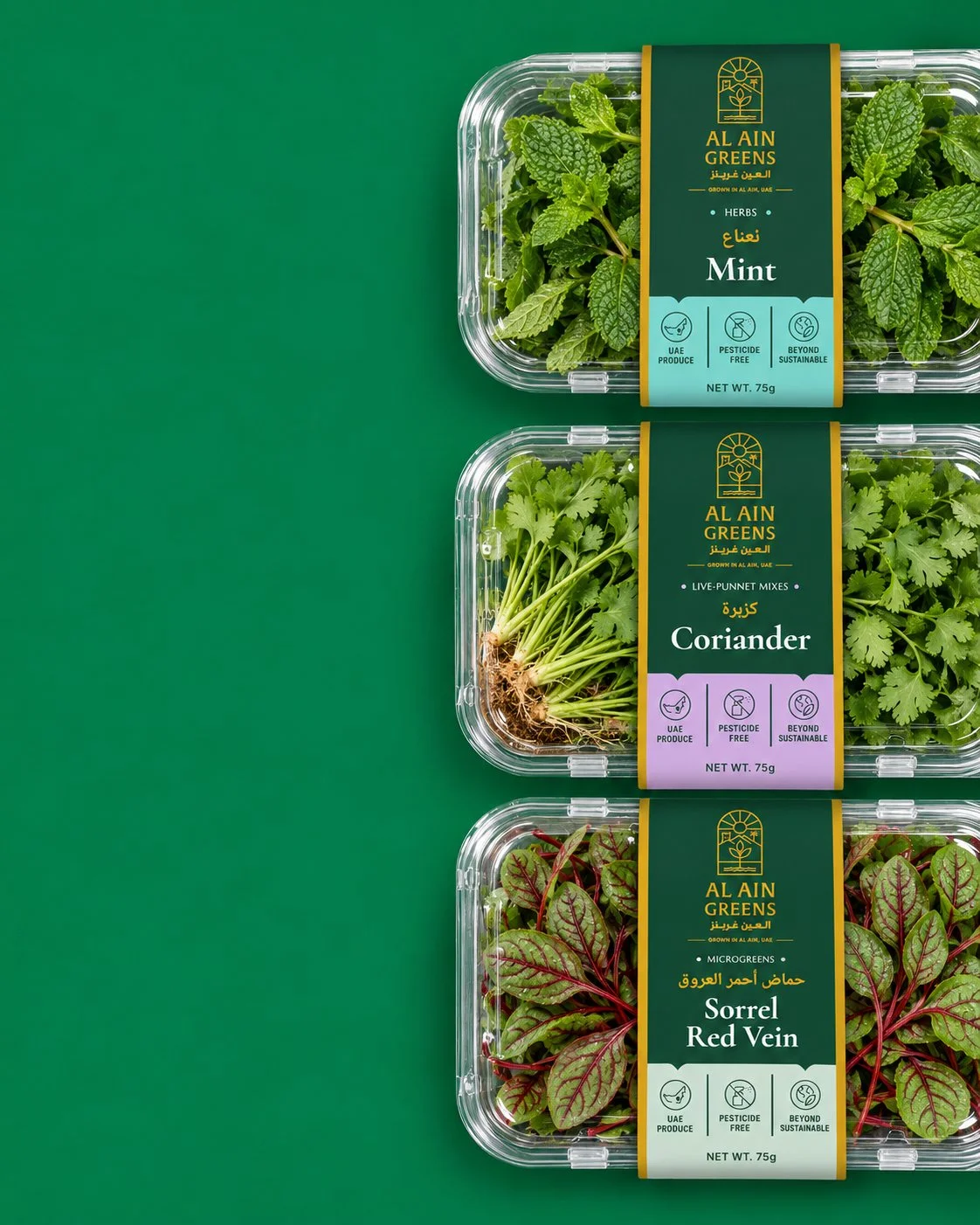 Al Ain Greens_Packaging.jpg