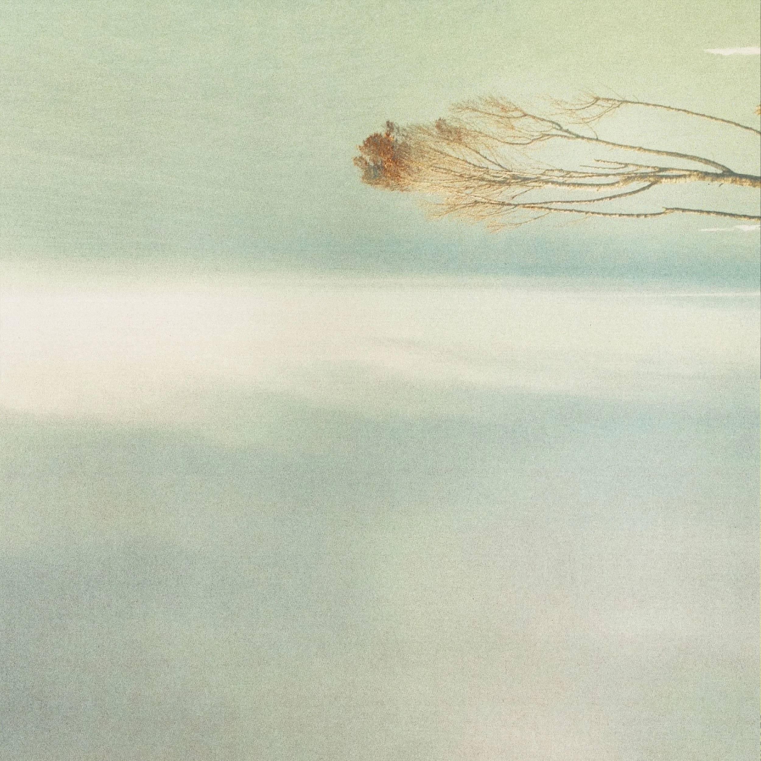   Roland Pöntinen — Felt Close   IT001 — Release: 1 September 2026 