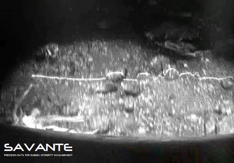 Image from low-level sled-mounted video camera of several cobbles on Loch Etive Seabed.