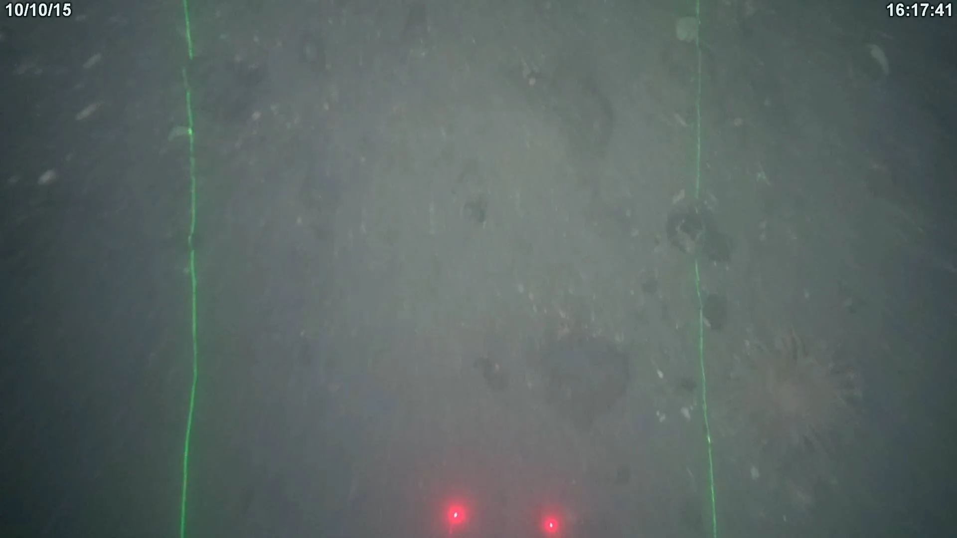 Savante Subsea Laser Modules during benthic survey