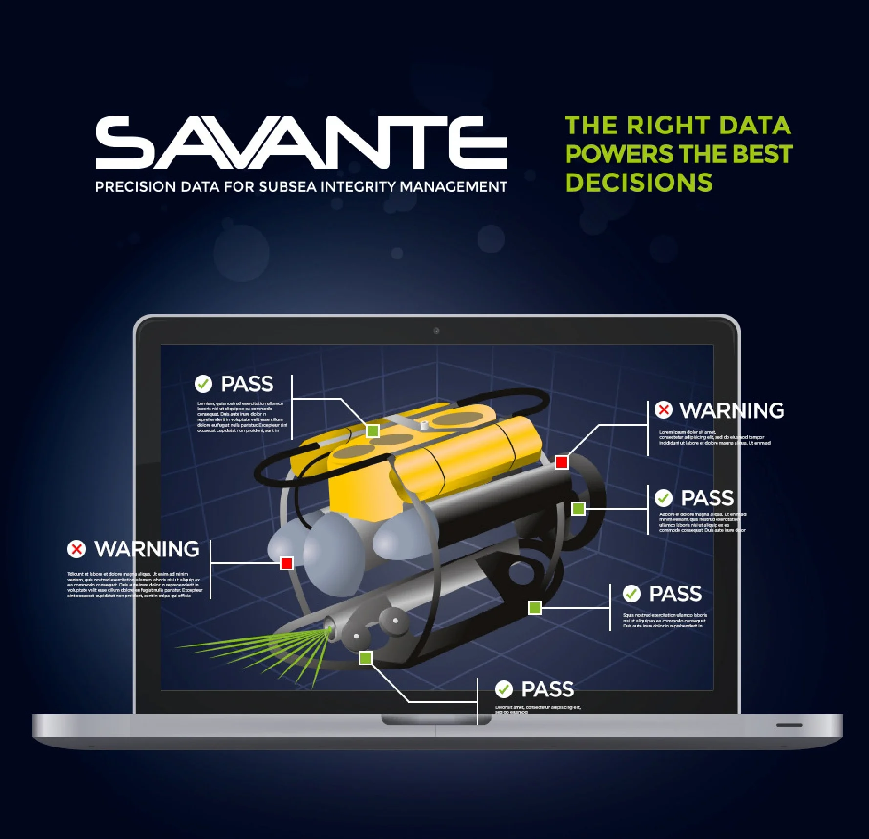 ROV audit cover page.jpg