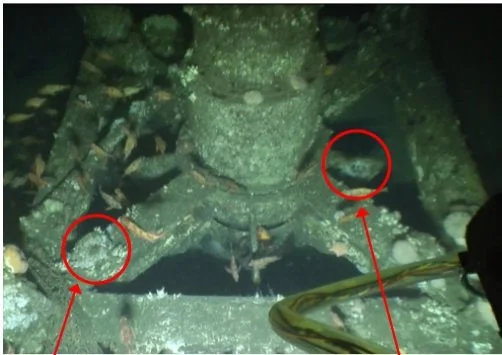 SAVANTE - Offshore Subsea Scanning - Savante Subsea and Underwater ...