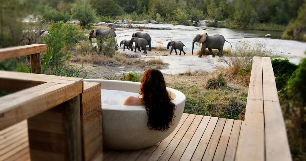 Voyage de noces Kruger et Seychelles