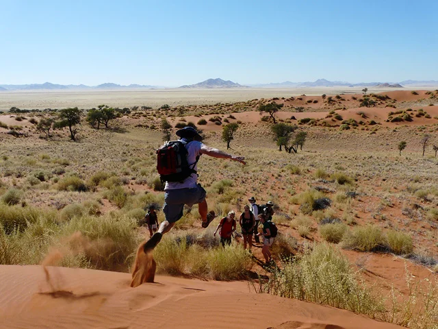 Tok Tokkie Trail