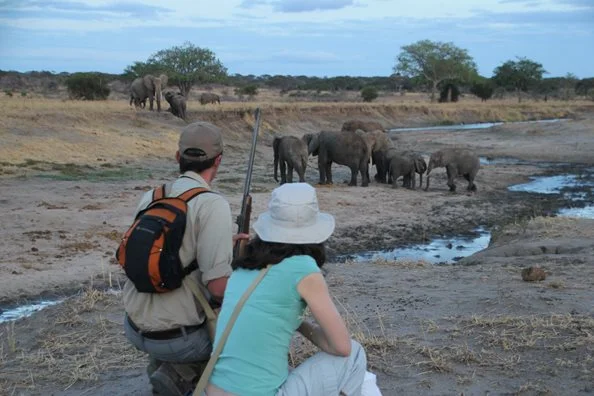 Voyage de Noces Tanzanie & Zanzibar