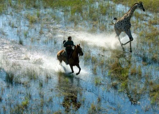 Safari à Cheval au Botswana