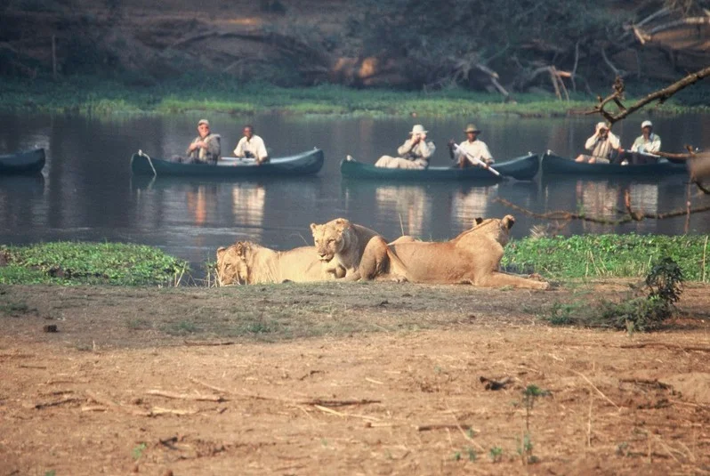 Safari en Canoë sur le Zambèze