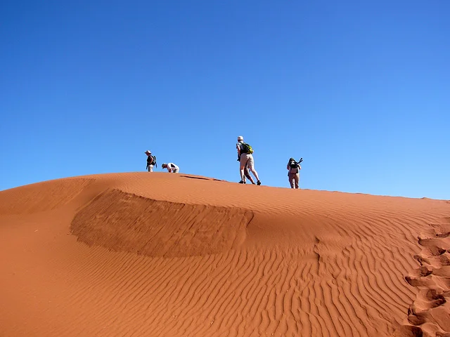 Trek dans le désert namibien