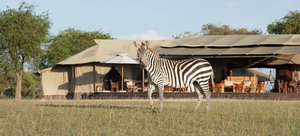 Singita Sabora Tented Camp