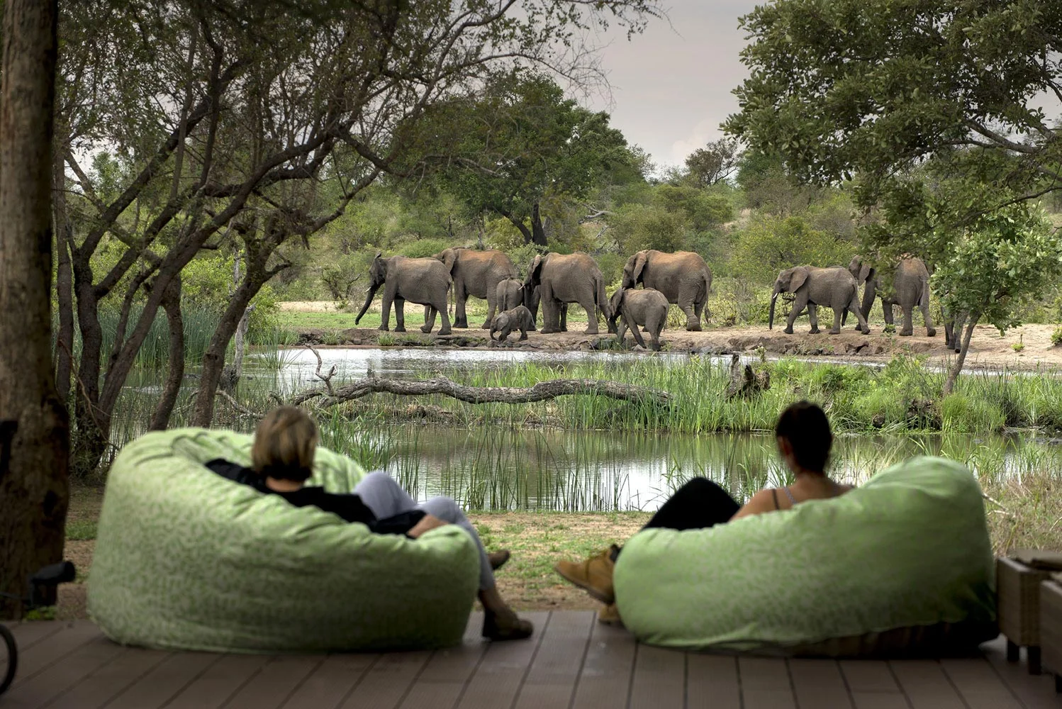 Tanda Tula