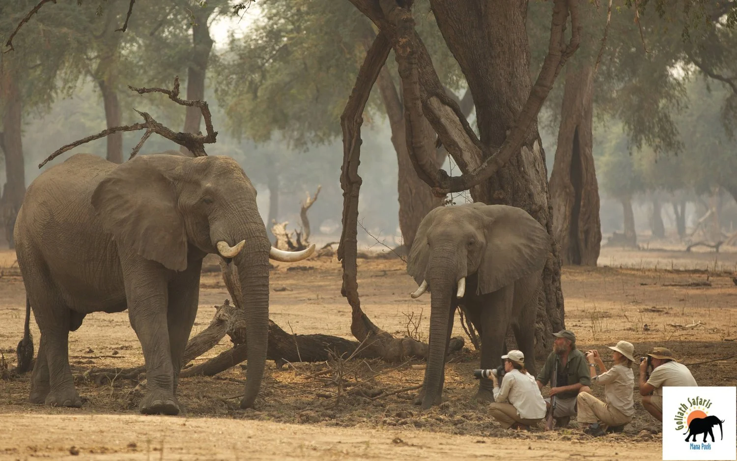 Goliath Safaris camp