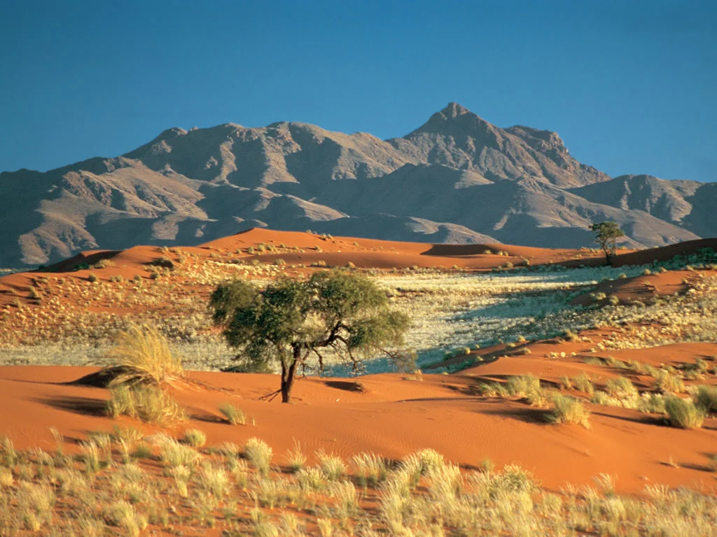 Safari Splendide Namibie