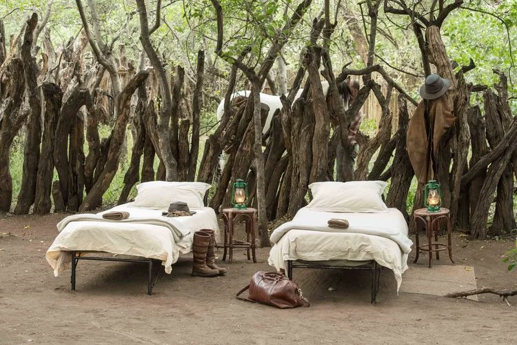 The Tuli Safari