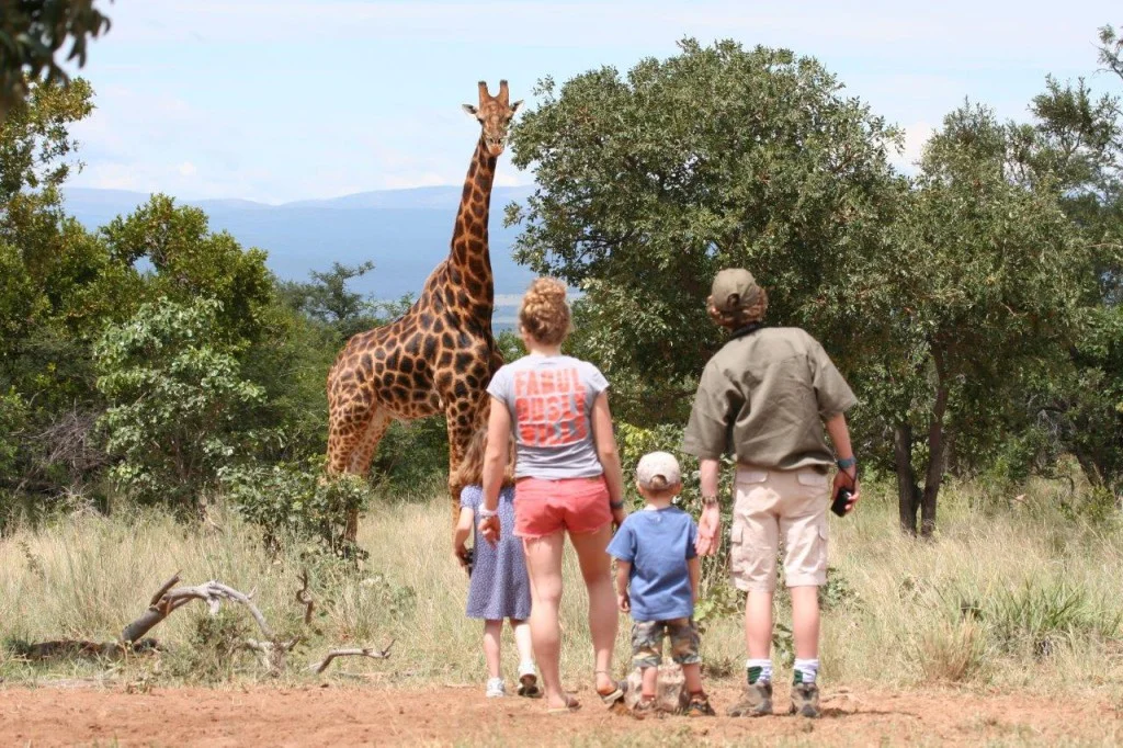 Safaris en famille.jpg