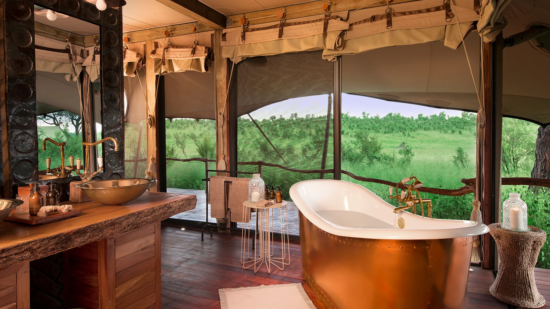 Safari de luxe en Afrique.jpg