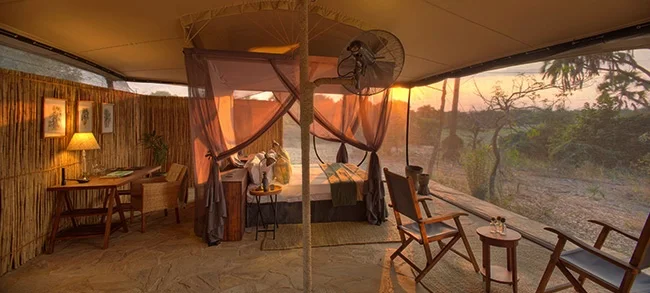 Selous Game Reserve: Roho ya Selous
