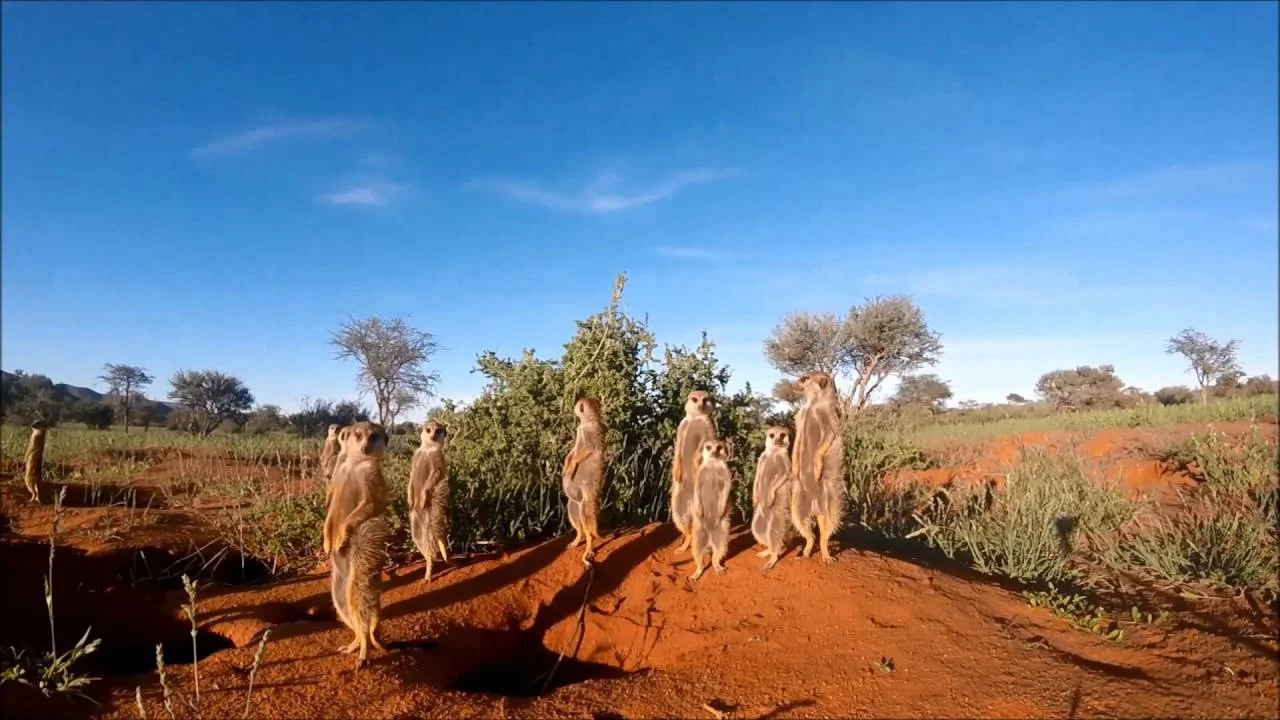 Voyage de noces Superbe Afrique du Sud