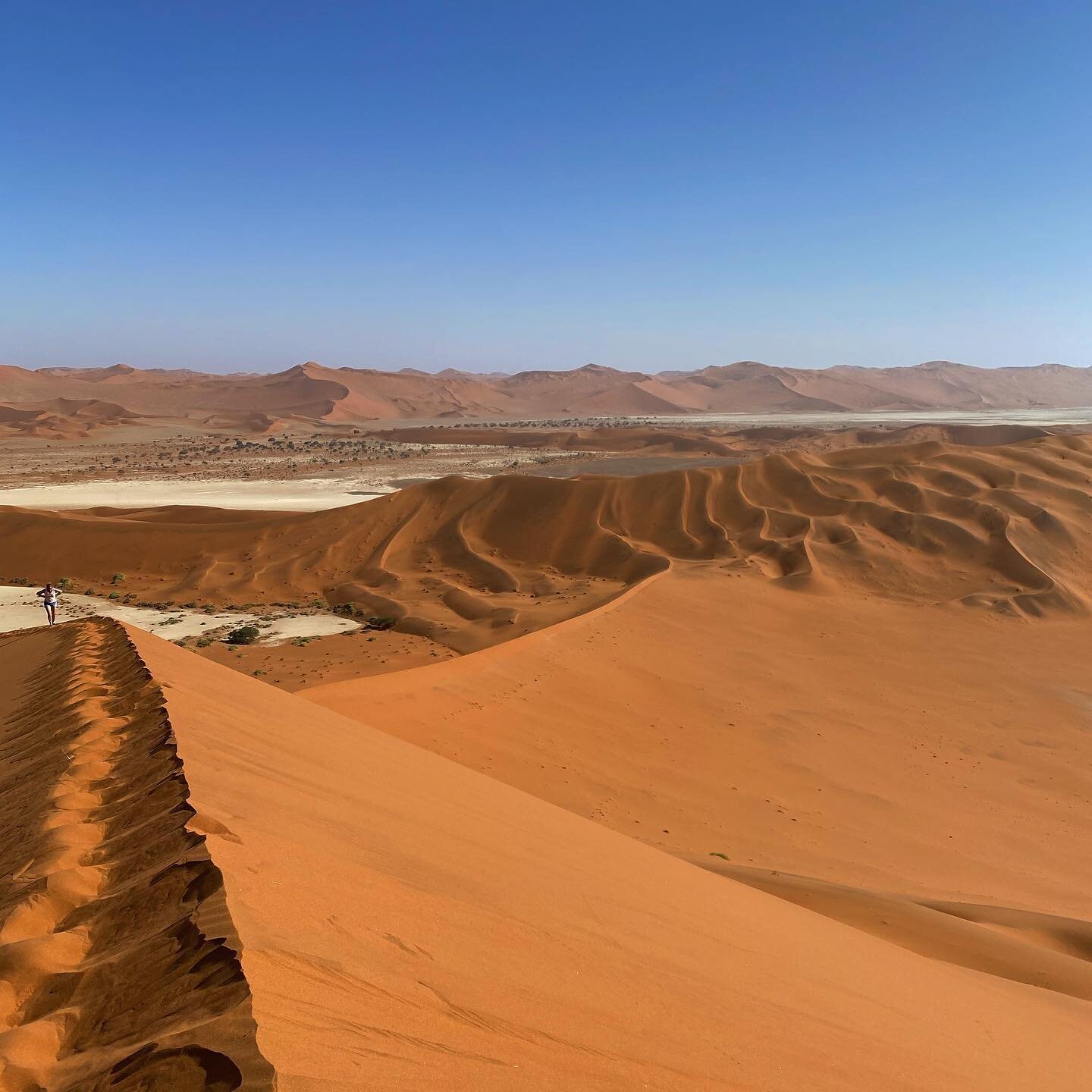 Big Daddy - Sossusvlei - 325 m
#namibia #sossusvlei #desert #desertsafari #hike #landscape #landscapephotography #landscaping #landscapelovers #landscape_lovers #landscapes #landscape_captures #paysage #paysages #namibdesert #deserts #dune #dunes #sa