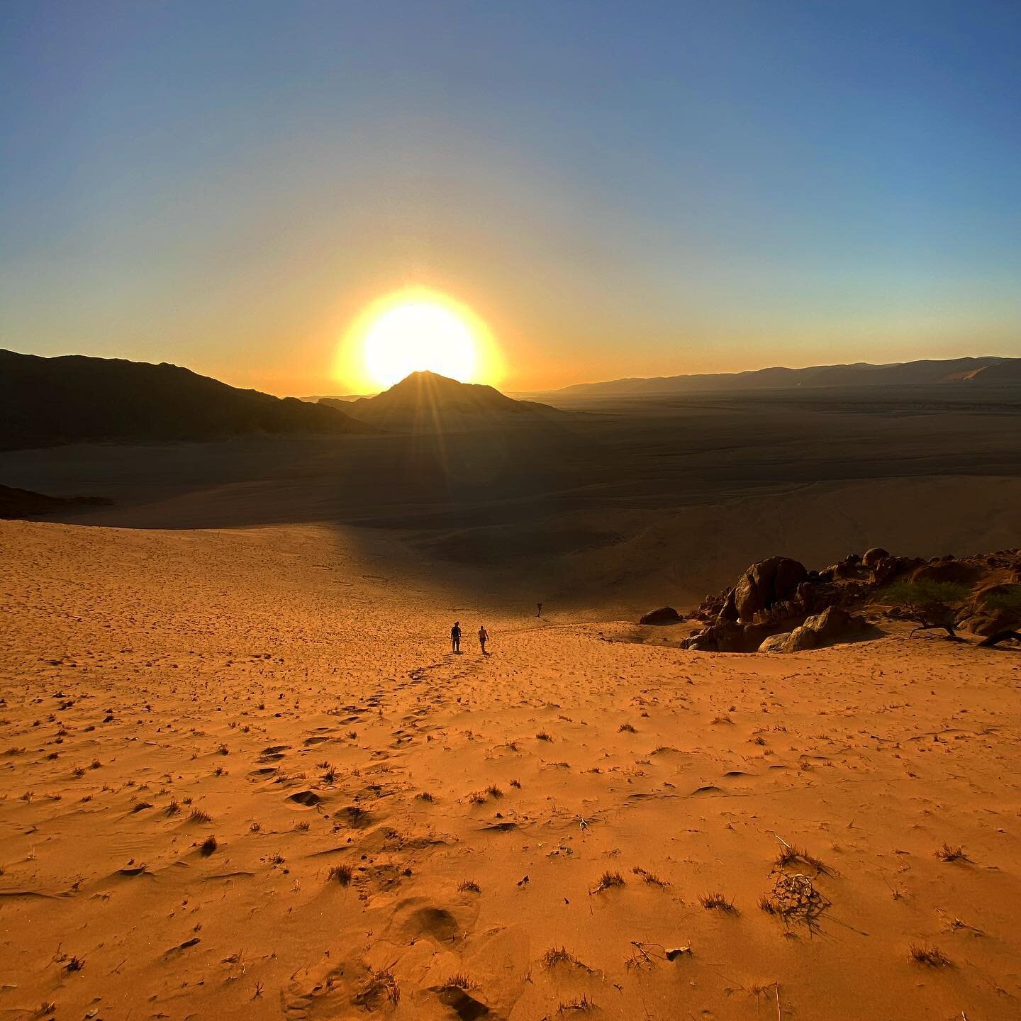 Namibian desert sunset 🌅 
#namibia #namibie #coucherdesoleil #sunset #sunsetlovers #sunsetphotography #sunsets #sunsetlover #sunsetporn #sunset_pics #desert #d&eacute;sert #trekking #trek #walk #marche #walking #landscape #landscapephotography #pays