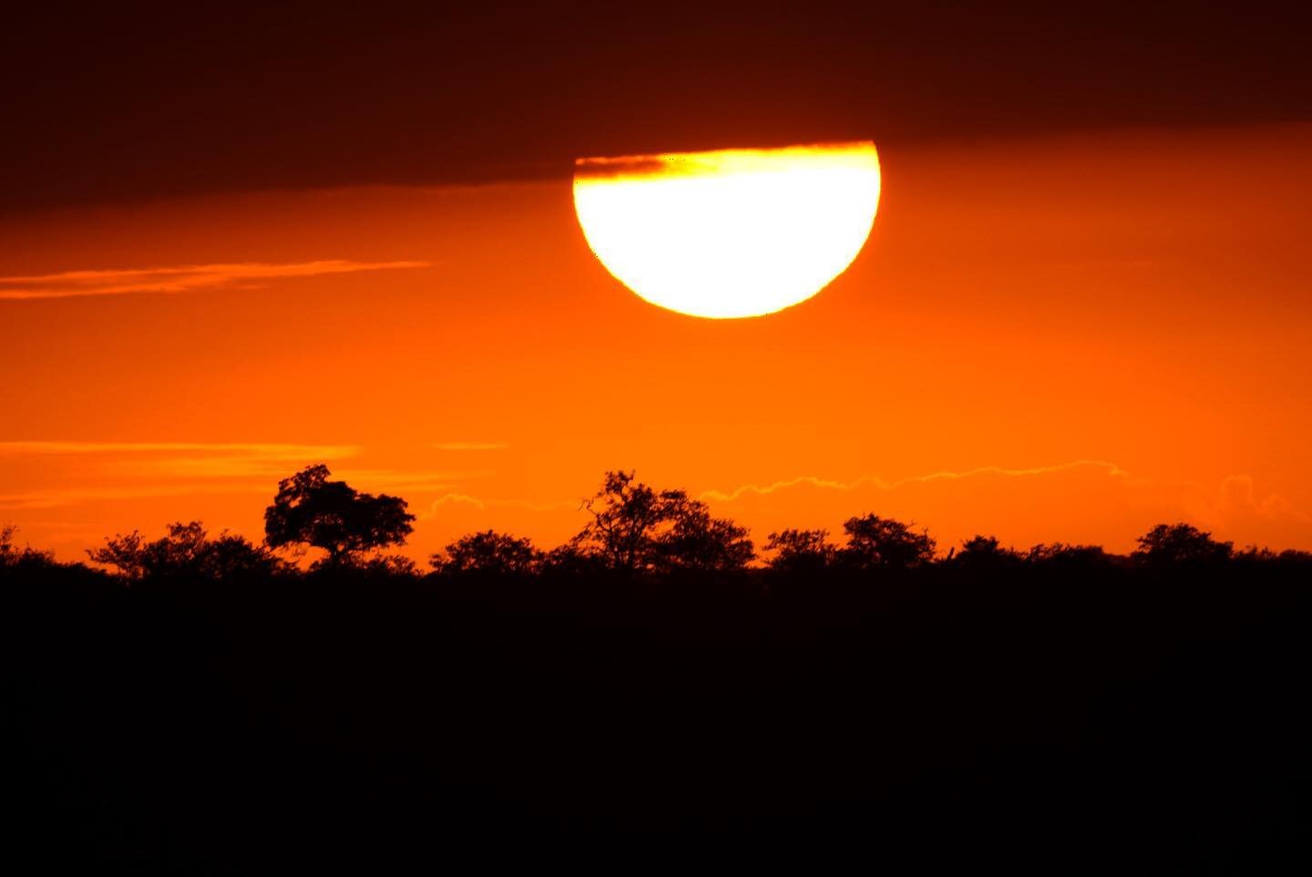 South African sunset
#southafrica #afriquedusud #orange #sunrise #sunrisephotography #sunriseoftheday #coucherdesoleil #sunset #sunsetlovers #sunsetphotography #sunsets #sunsetlover #sunsetporn #sunset_pics #sunset_vision #sunsetgram #sunsethunter #s