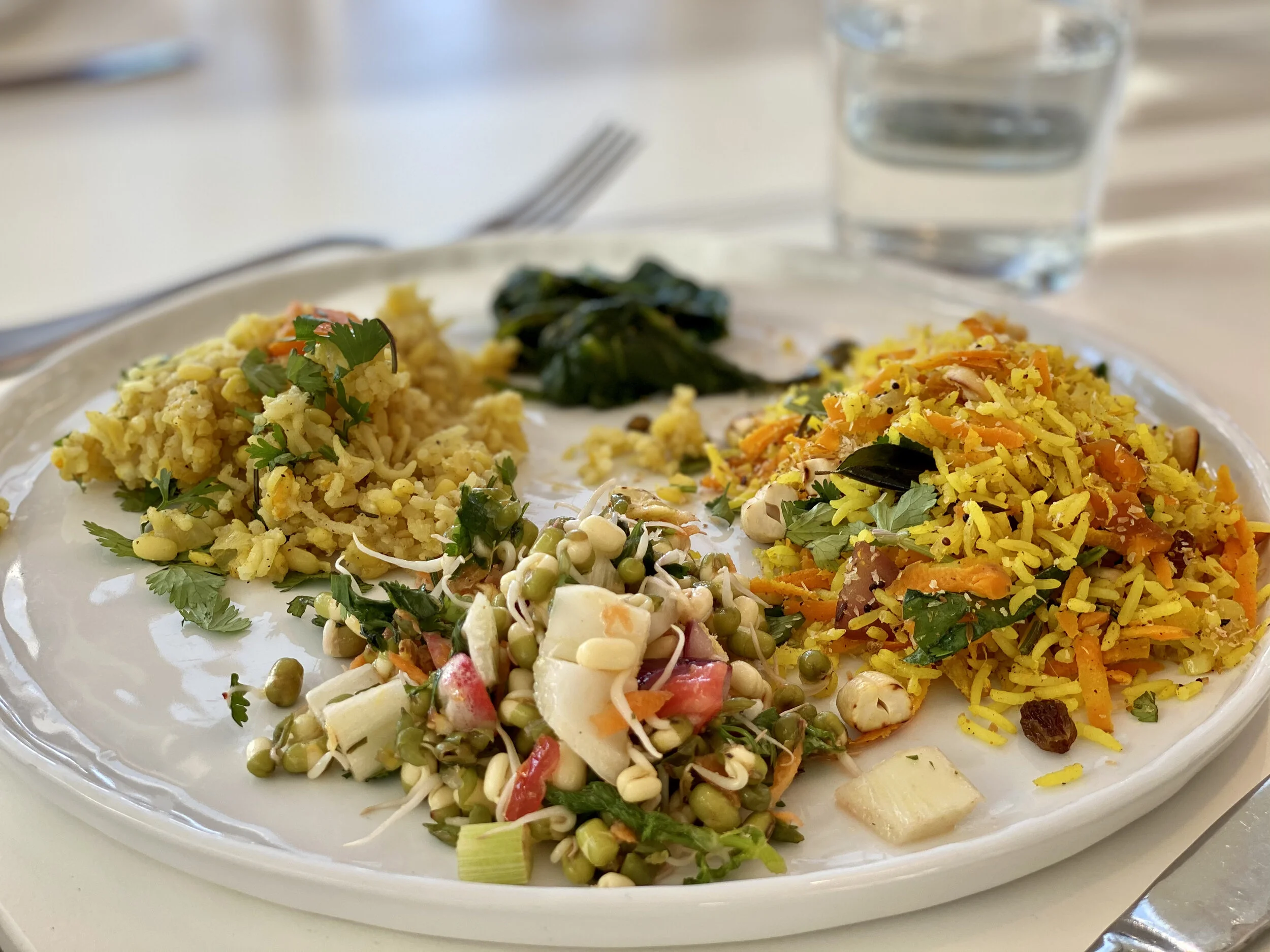 Retraite Yoga & Méditation à BuislesBaronnies Lola Yoga