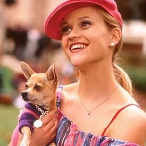 Legally Blonde.jpg