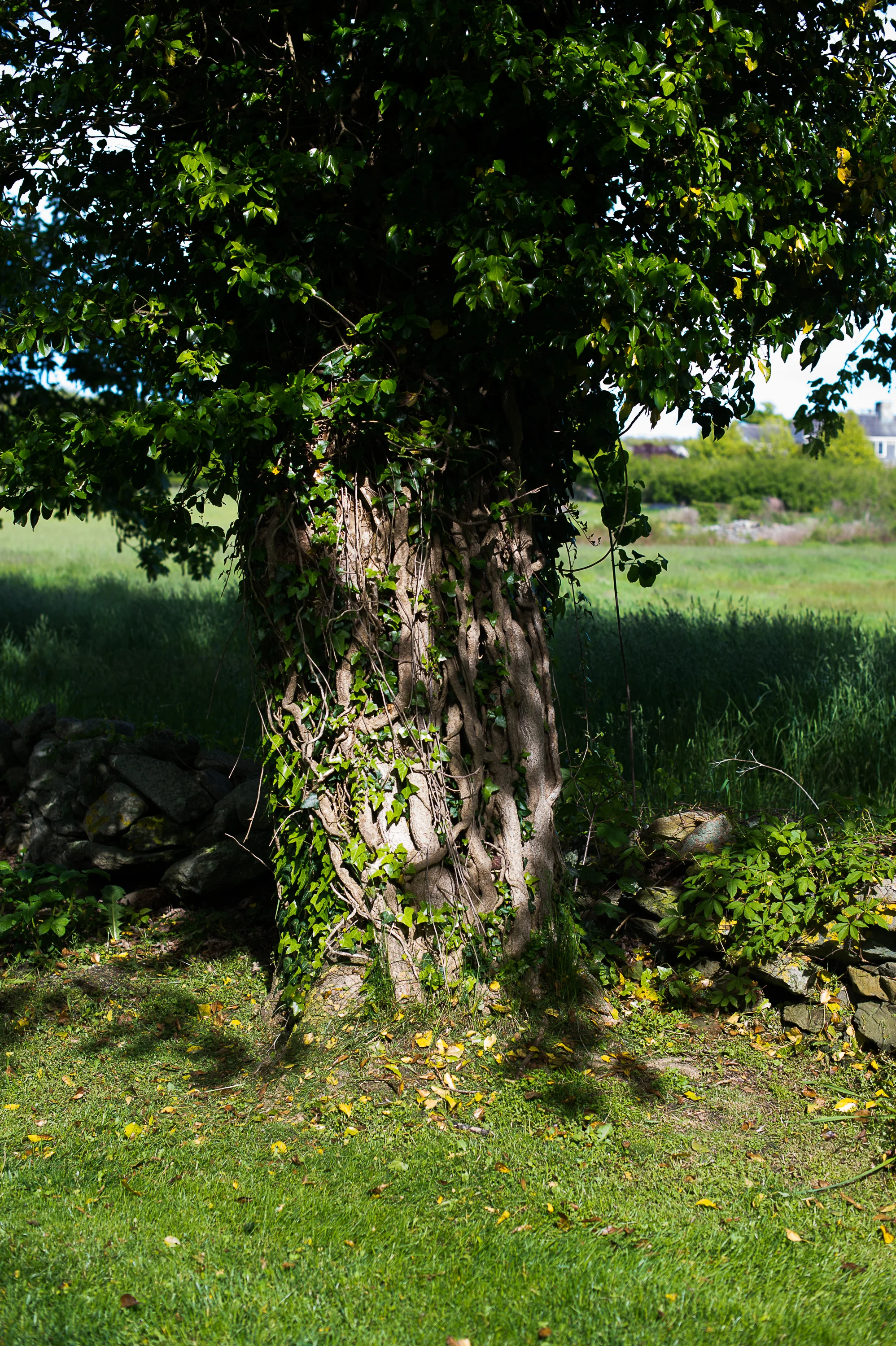 20170527 Marcelli_Machado_highlights0018.jpg