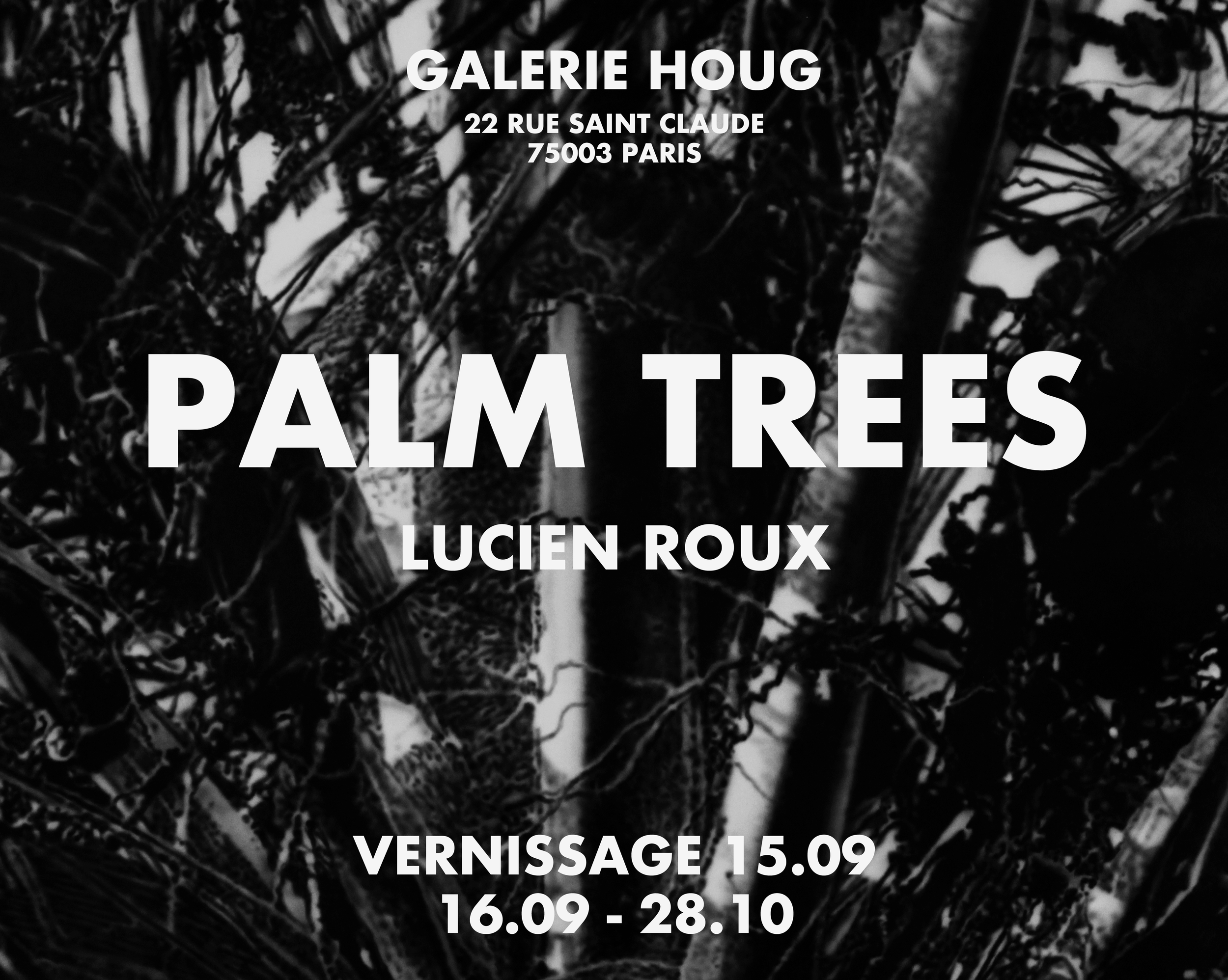 PALMTREES_poster copie.png