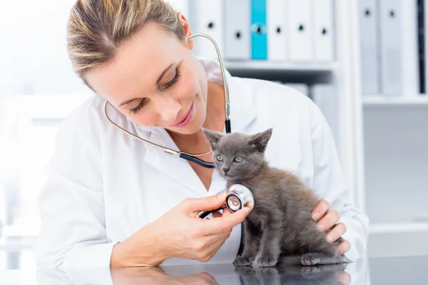Shaker Square Animal Hospital
