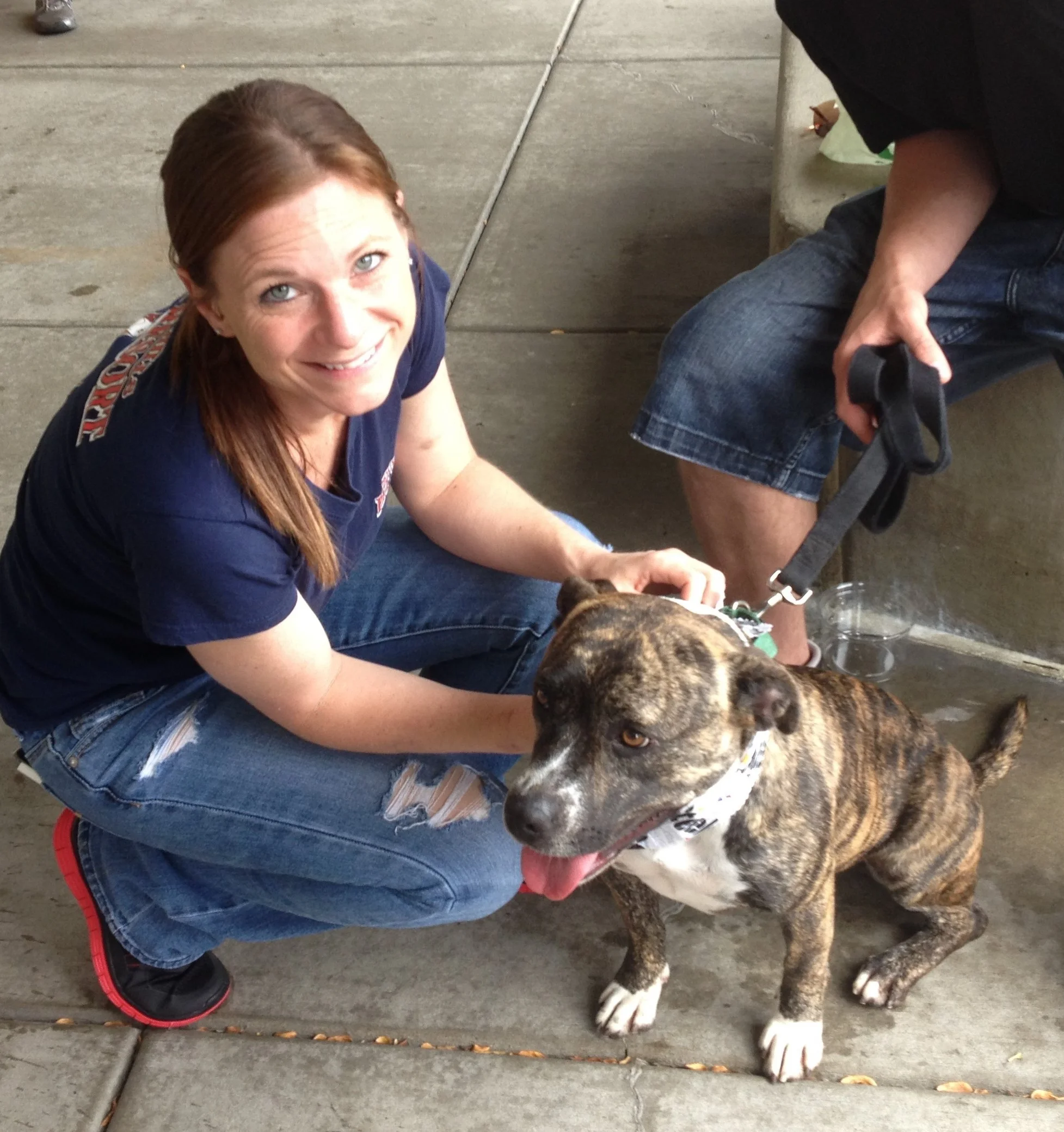 dog chain cuban link