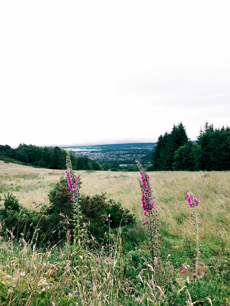 The city of Inverness from afar. 