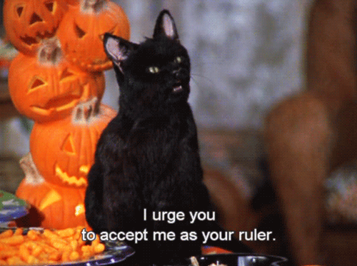 0e0263c953d807a999de6210bd14eee7.gif