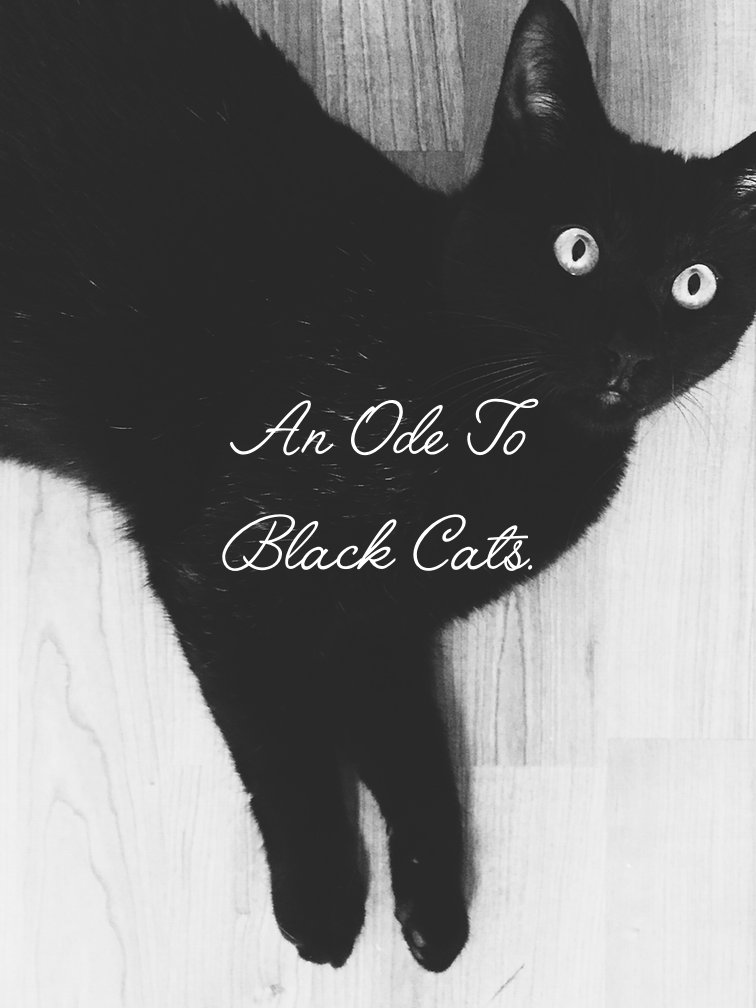 OdeToBlackCats.png