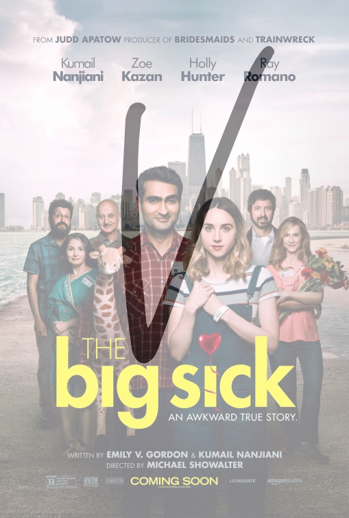 TheBigSick.jpg