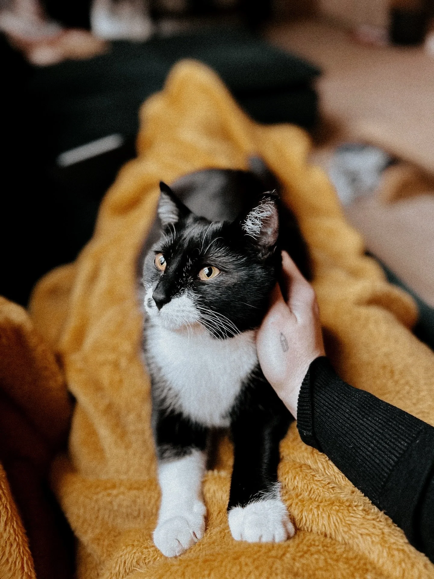 &hearts;&lrm;ﻌ&hearts;