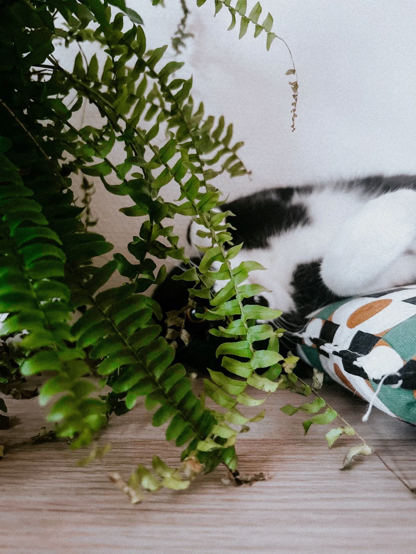 Clever girl. 👁️