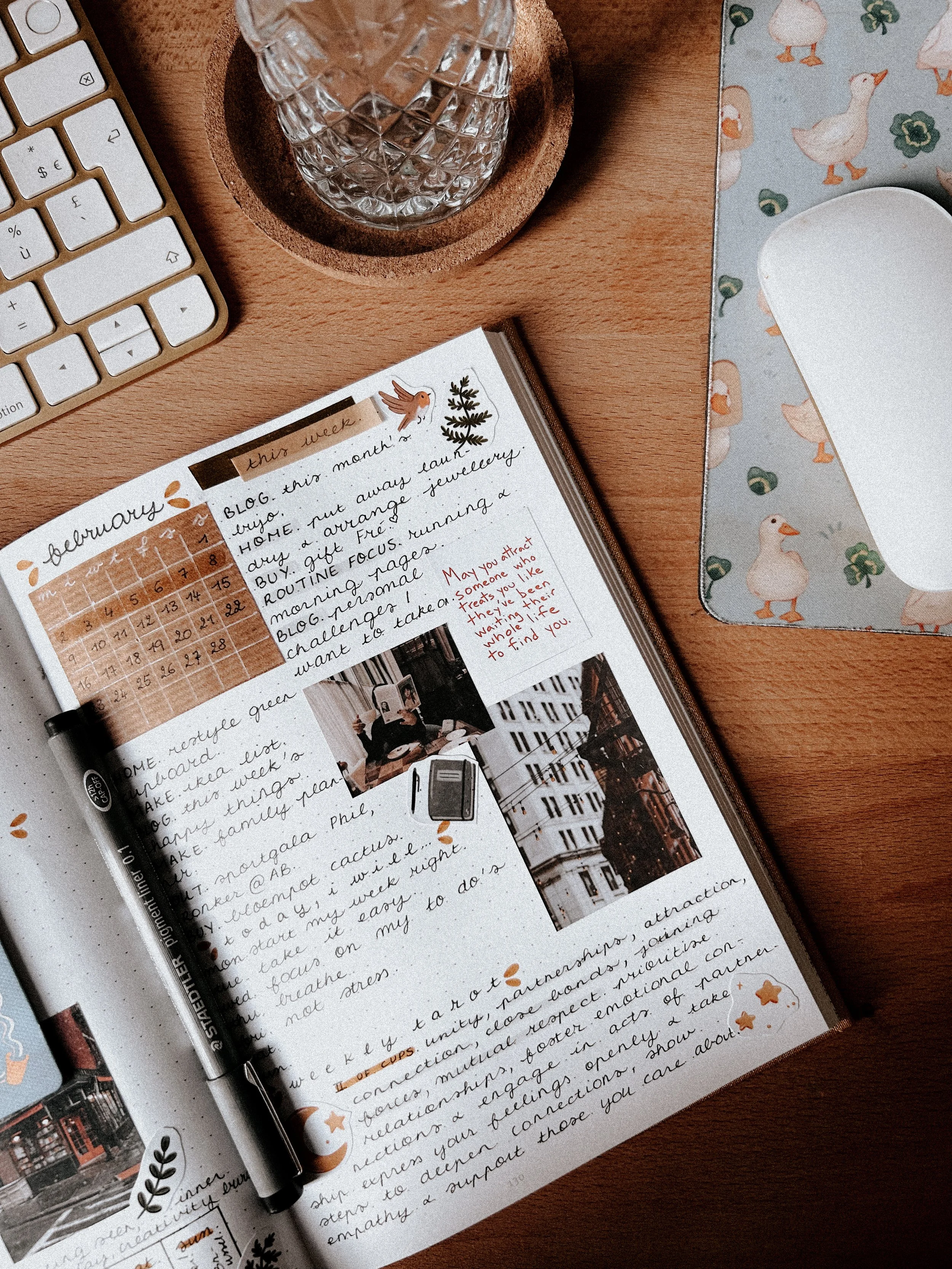 mijn bullet journal in februari.