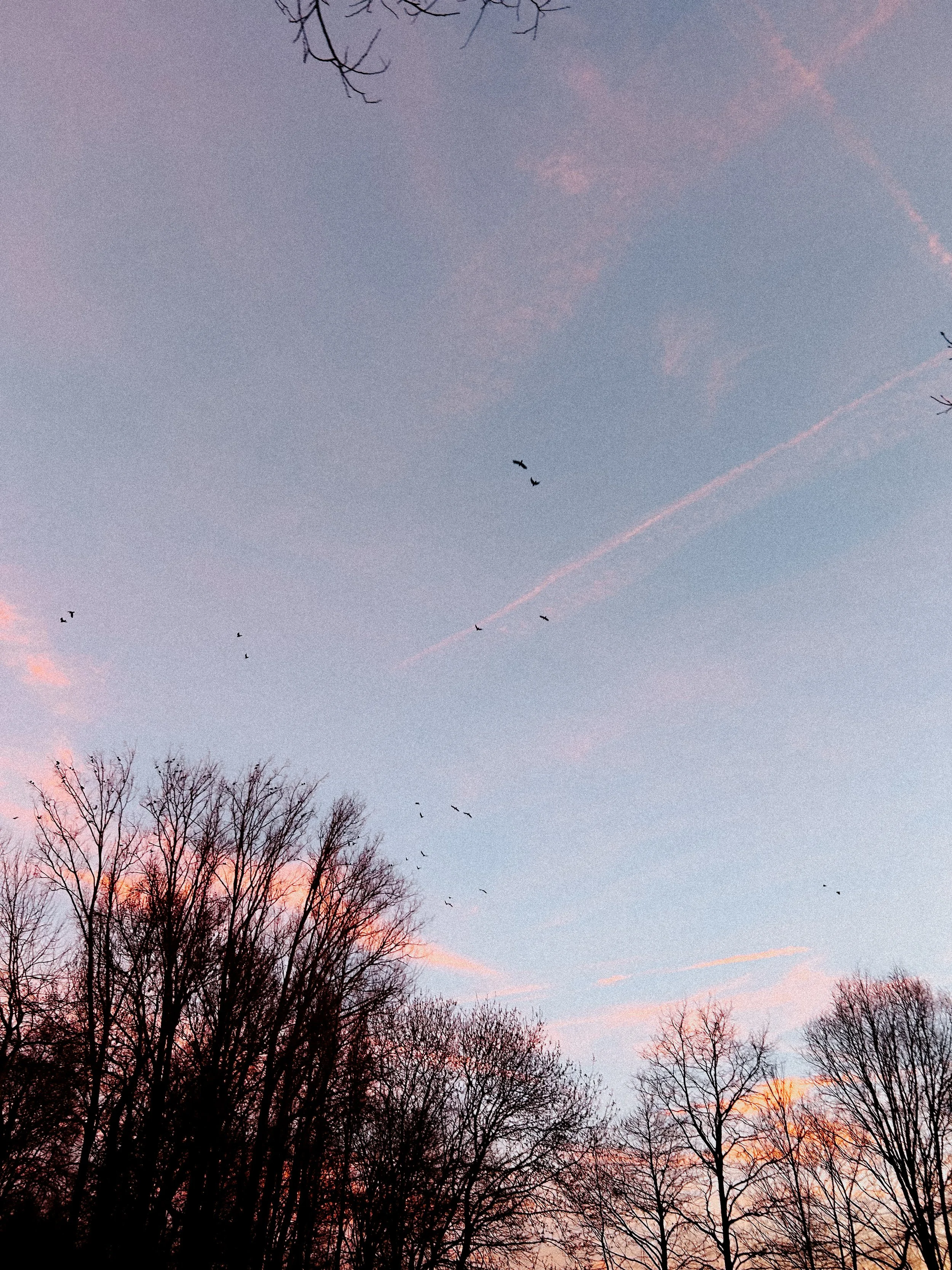 How I’m celebrating Spring.