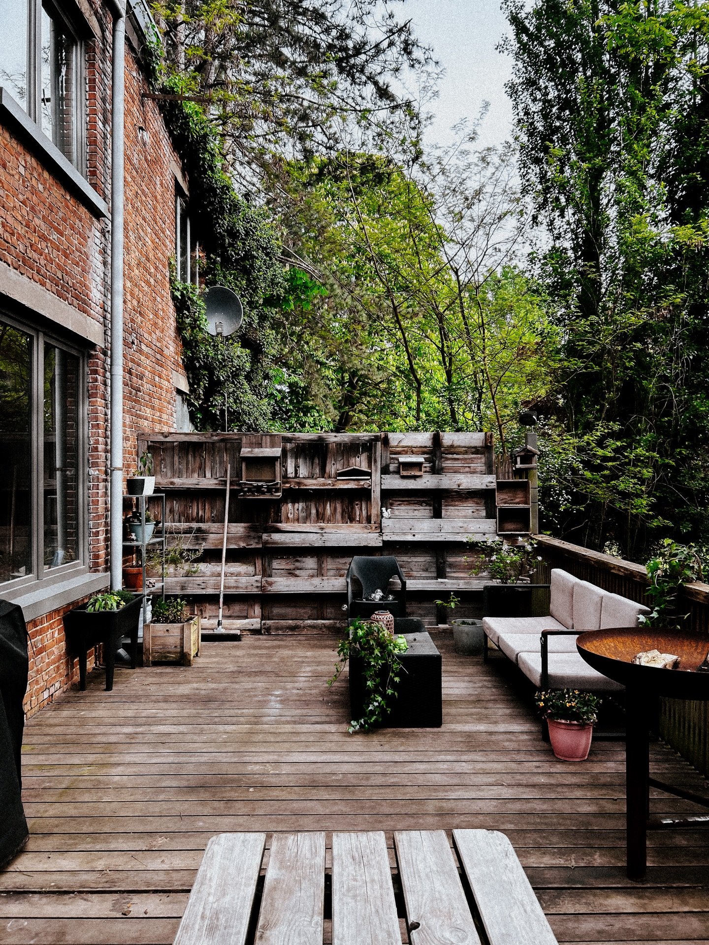Little back porch/garden/wilderness update. 🪴🪻🌱