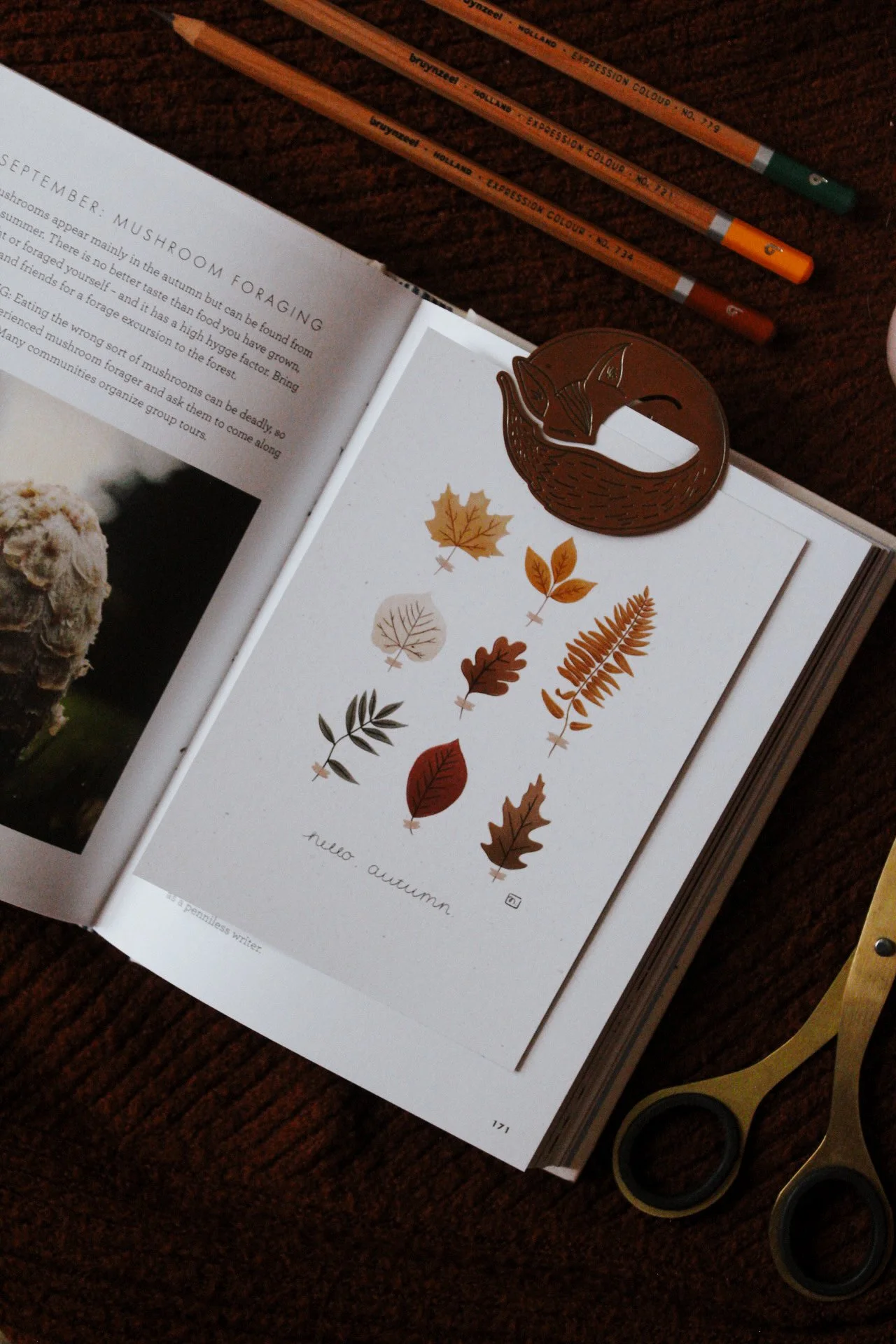AutumnLeaves1.JPG