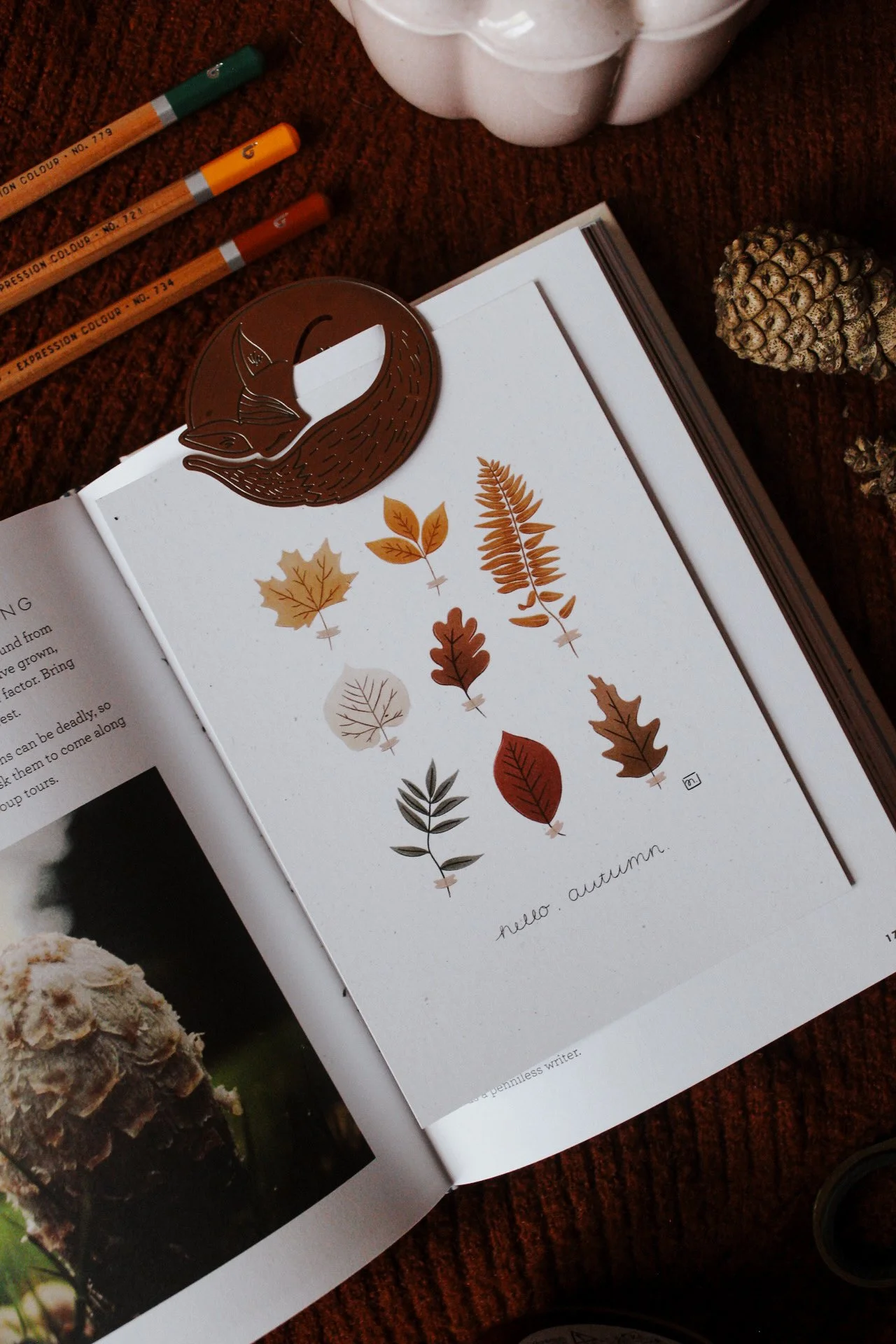 AutumnLeaves2.JPG