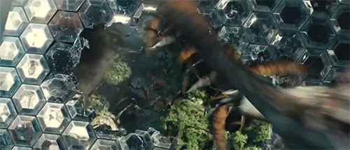 giphy (2).gif