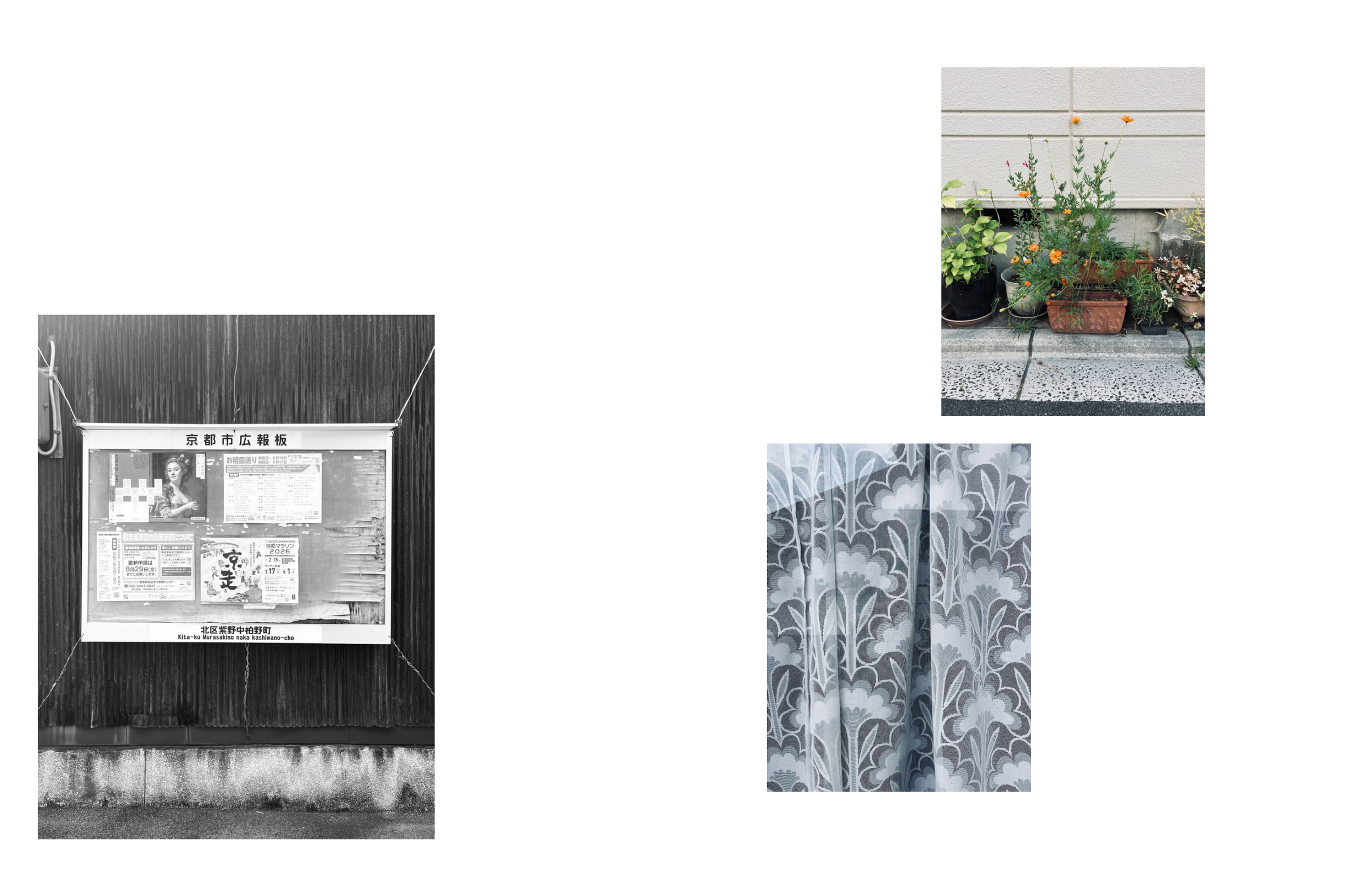 Screenshot 2025-12-25 at 12.16.45.png